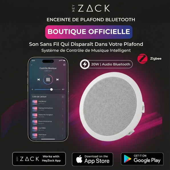 Enceintes de plafond Bluetooth (esclaves)