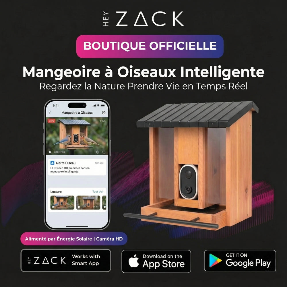 Mangeoire à oiseaux intelligente