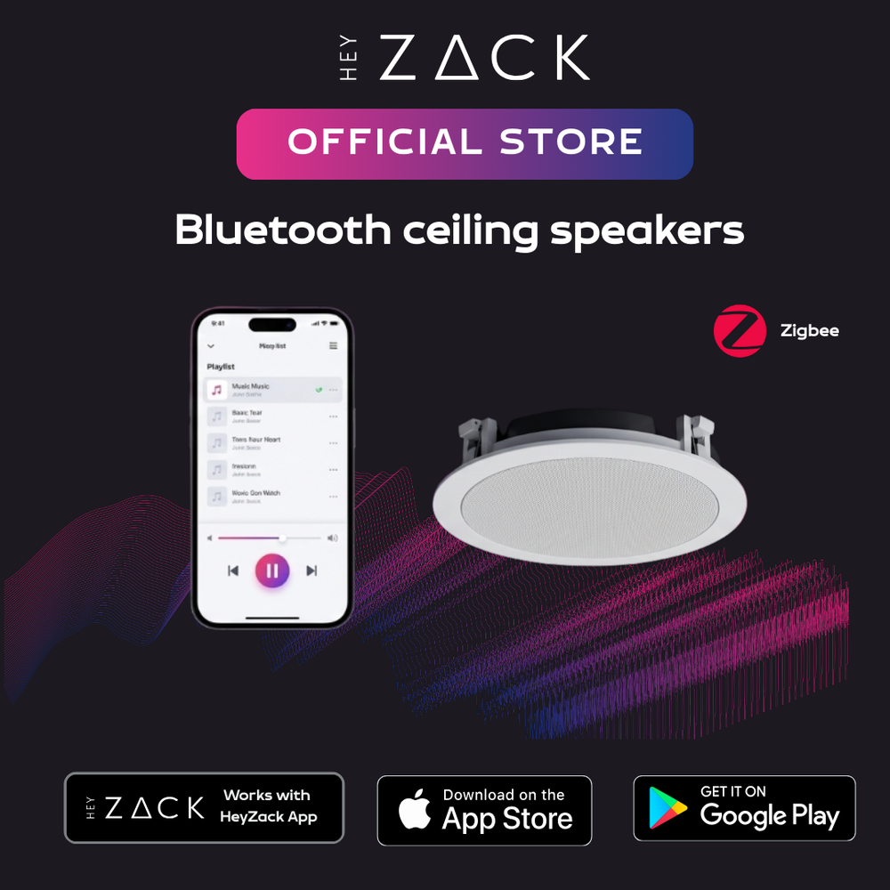 Bluetooth ceiling speakers (master)