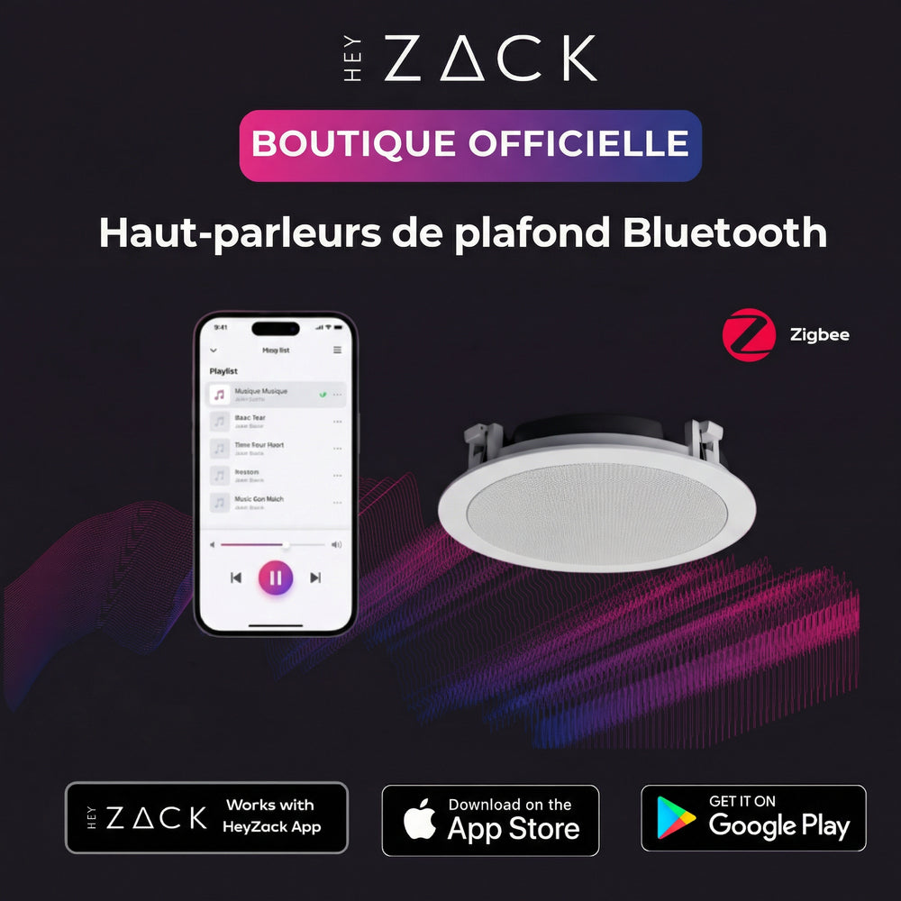Enceintes de plafond Bluetooth (master)