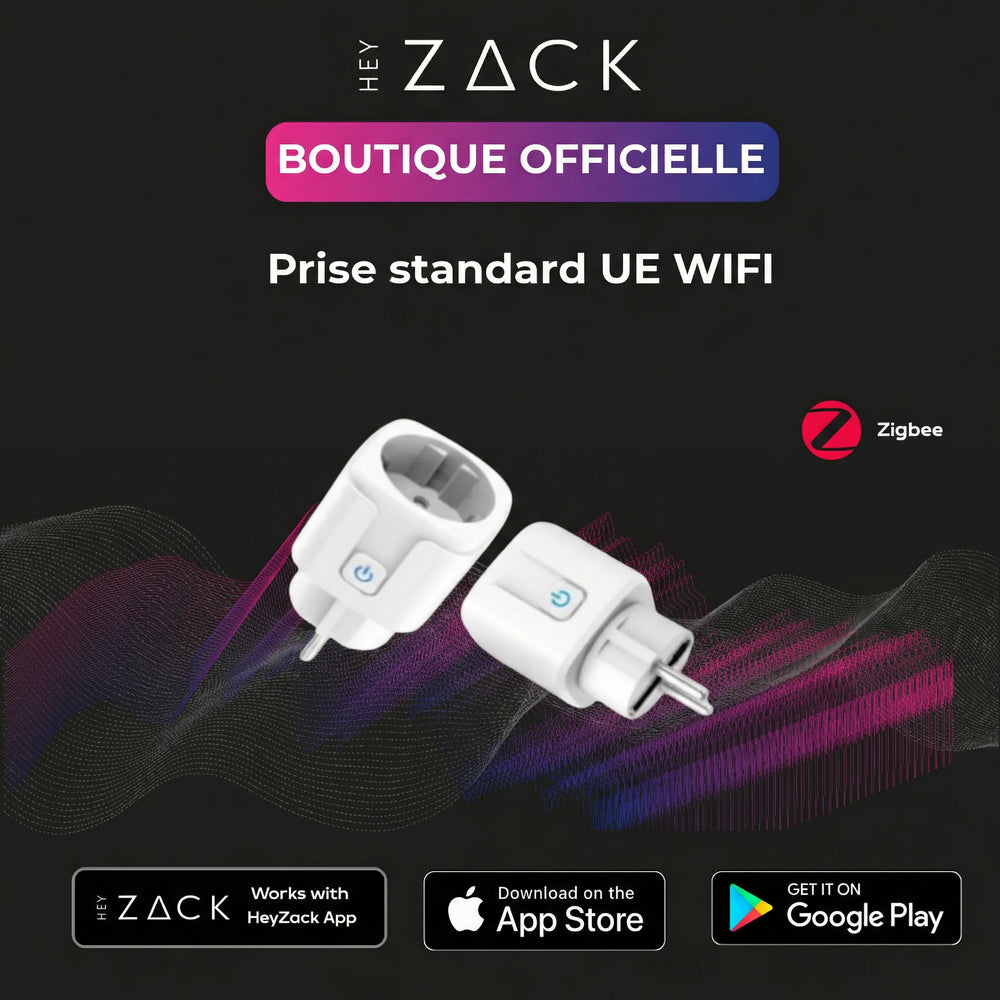 Prise WIFI standard UE