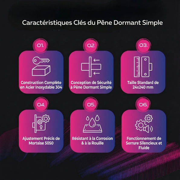 Pêne dormant simple 24 x 240 mm (entièrement en acier inoxydable 304)
