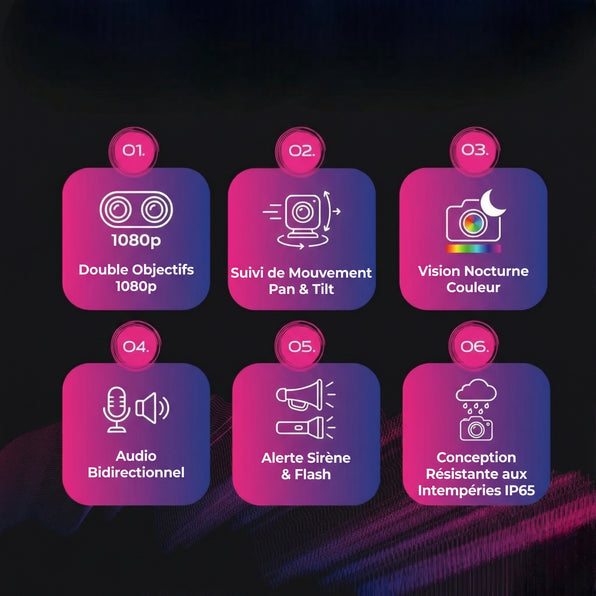 Caméra extérieure filaire (double objectif)