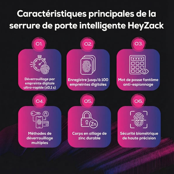 Serrure de porte intelligente WiFi avec caméra (livrée avec le corps de serrure)