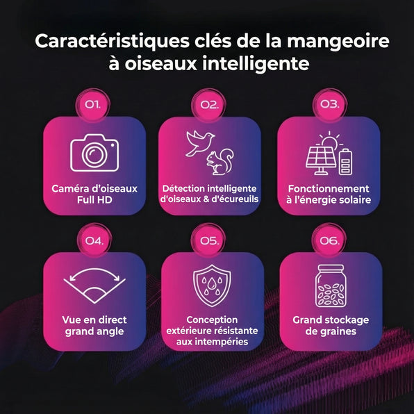 Mangeoire à oiseaux intelligente