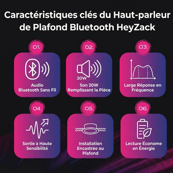 Enceintes de plafond Bluetooth (master)